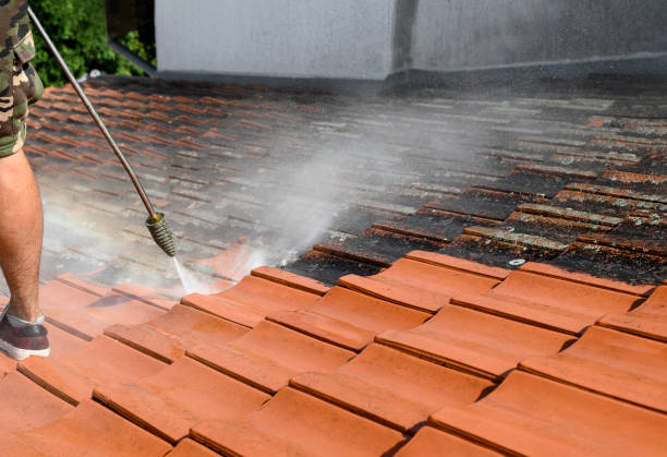 Best Roof Power Washing Services  in Sudden Valley, WA